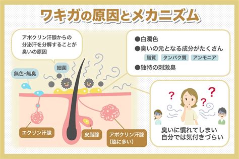 ワキガ 外国人|海外のワキガ、日本のワキガ